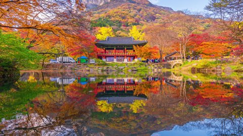 Time Lapse 4k Baekyangsa Temple in autumn, Naejangsan Park in korea.Zoom out