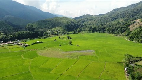 Aerial view of rice fields and mountain at Ban Sapan, small village in Nan province, THAILAND. (2.7k video resolution by drone)
