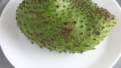 One whole soursop graviola, exotic, tropical fruit Guanabana on plate, Rotate. Food background