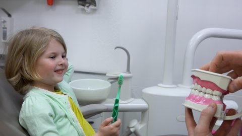The dentist shows to a little cute girl a plastic jaw model to explain how to brush her teeth
