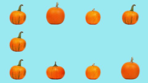 4K 60FPS Pumpkins on the Blue Background - Pop Up Animation. Halloween Background