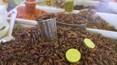 small basket full of grasshoppers, a small insect that is eaten as a snack and is used to make sauces and different stews.