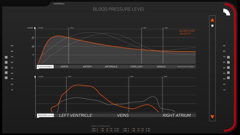 A high-tech screen displays graphs of analysis of the human circulatory system. Blood pressure level statistics.  Graph of blood flow velocity value.  Alpha channel included.