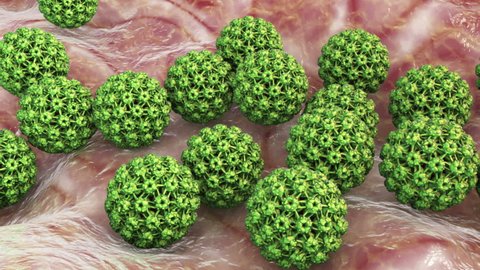 Human papillomavirus, a virus which causes warts, some strains infect genitals and can cause cervical cancer, 3D animation