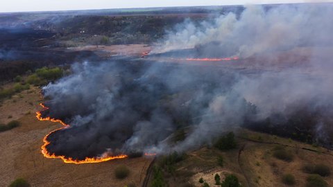 Aerial view: Natural ecology disaster - Wildfire.  Top view of fire on the field. View from above smoky clouds. Flying over scorched field