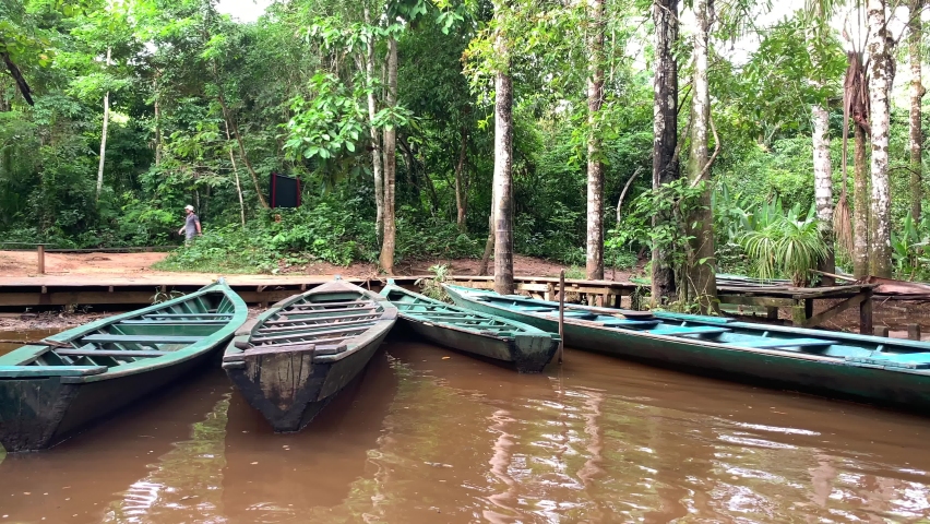 Tambopata River Stock Video Footage - 4k And Hd Video Clips 