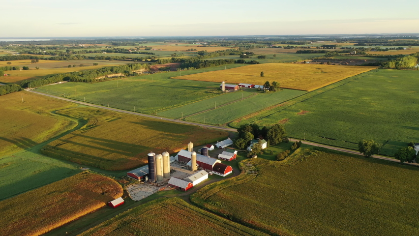 Birds eye view of harvest field, midwestern farm. Rural landscape, american countryside in September. Harvesting corn season Royalty-Free Stock Footage #1058383732