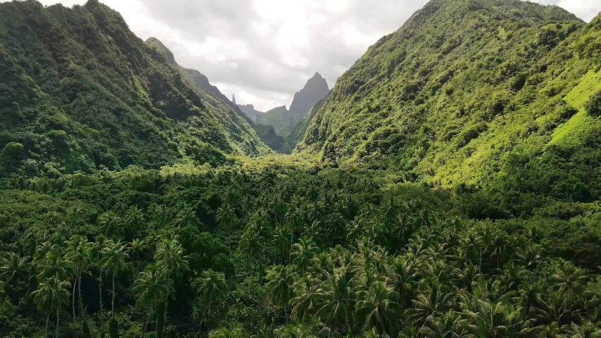 Tahiti drone 4k. Palm coconut trees on tropical island. Aerial view. French Polynesia island. exotic travel destination, adventure getaway destination.  Royalty-Free Stock Footage #1058387002