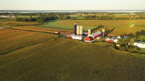Establishing shot of farmhouse. Aerial view of farm, red barns, corn field in September. Harvest season. Rural landscape, american countryside. Sunny morning