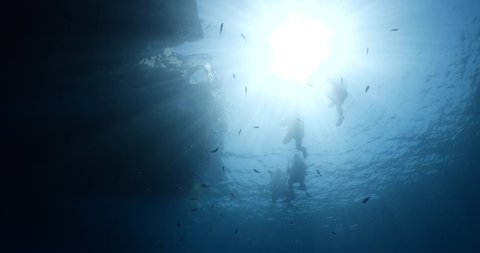 scuba divers ascending surface going back to boat underwater with sun beams and rays ocean scenery
