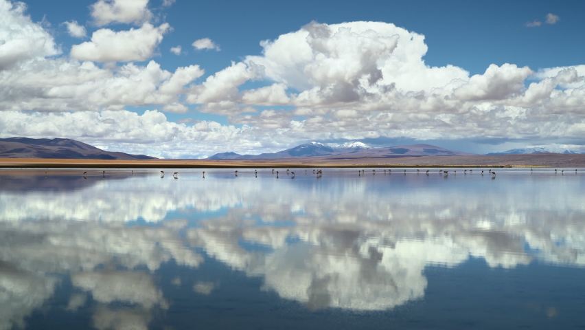 Salar de Chalviri, Bolivia, South America, panoramic view of unspoiled landscape in Eduardo Avaroa Andean Fauna National Reserve showing wild Andean flamingos in Laguna Chalviri.
