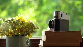 Closeup view of bouquet of wild cute flowers in metal enamel mug, stack of several old paper books, retro photo camera laying on windowsill of countryside cottage. Defocused green yard in background.
