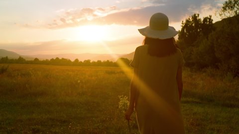 back view woman in straw hat holding chamomiles walking on the meadow slow motion beautiful countryside landscape at summer season sun rays at sunset