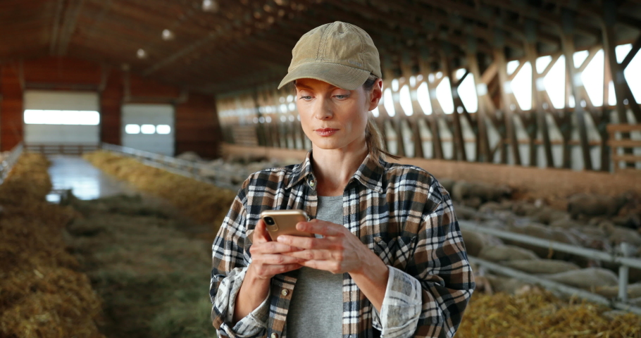 Young Caucasian woman using smartphone and working in farm stable. Female farmer tapping and scrolling on mobile phone in shed. Shepherd texting message on telephone. Farming concept.