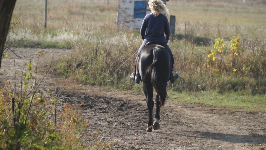 Unrecognizable blonde woman riding on purebred black horse at sunny day. Female jockey horseback walking along meadow trail. Beautiful nature environment. Concept of love for animals. Back view