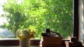 Bouquet of field flowers in metal enamel mug, stack of several old paper books, retro photo camera laying on windowsill of countryside cottage. Defocused green yard in background.