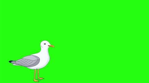 Seagull flies up into the sky. Handmade animated looped footage isolated on green screen