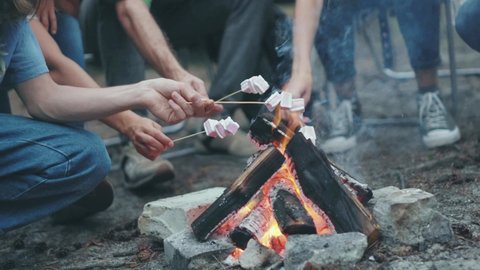 Group of attractive relaxed young people enjoying rest in deep forest eating roasted marshmallows communicating having fun on summer night. Camping. Leisure. Vacation.