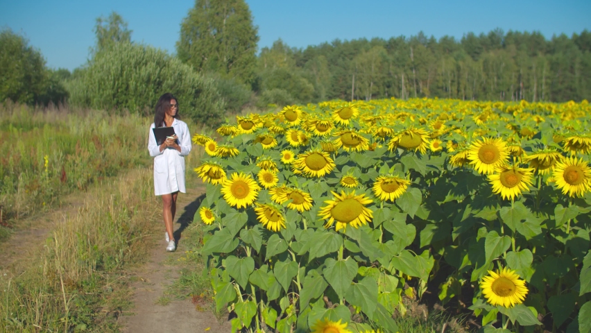 Charming confident african american female agronomist in spectacles and white coat with clipboard inspecting agricultural sunflowers field, taking notes about crop quality and growth in summertime.