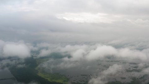 Aerial top view drone flies through fluffy rain clouds rolling over green forest by beautiful lake. Foggy morning in pine woodland from above, cloudy, misty weather. Camera flight in low cloud in sky