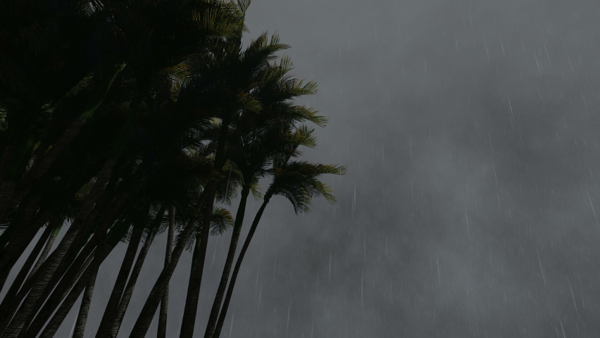 Lightning Tropics Palm Trees Stormy Stock Footage Video (100% Royalty ...