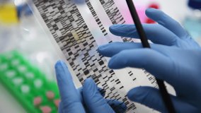 Scientist examining DNA autoradiogram / High Wycombe, Bucks, England, UK - Powered by Shutterstock - Get 15% off with code: PIKWIZARD15