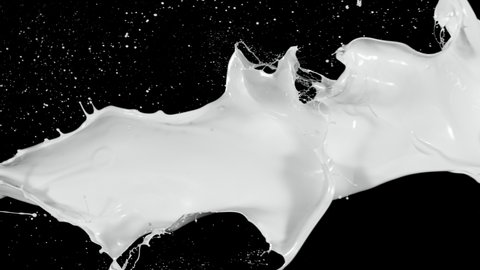 Super slow motion of flying milk splashes on black background. Filmed on high speed cinema camera/ super slow motion