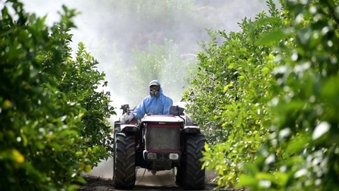 Tractor spray pesticide and insecticide on lemon plantation in Spain. Weed insecticide fumigation. A sprayer machine, trailed by tractor spray herbicide.