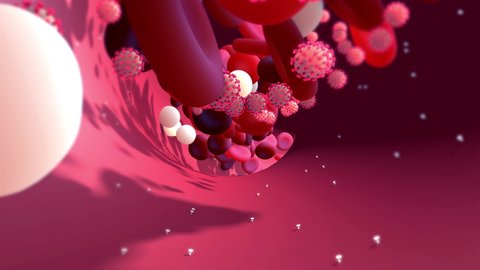 Coronavirus or virus causing blood clots to form in the blood system. Clot in blood vessels, arteries and capillaries. 4k animation