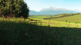 Afternoon sun lit meadow with small forest. mount Krivan peak (Slovak symbol) in distance - panning video over calm landscape