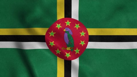 Dominica waving flag with cloth texture. 4K