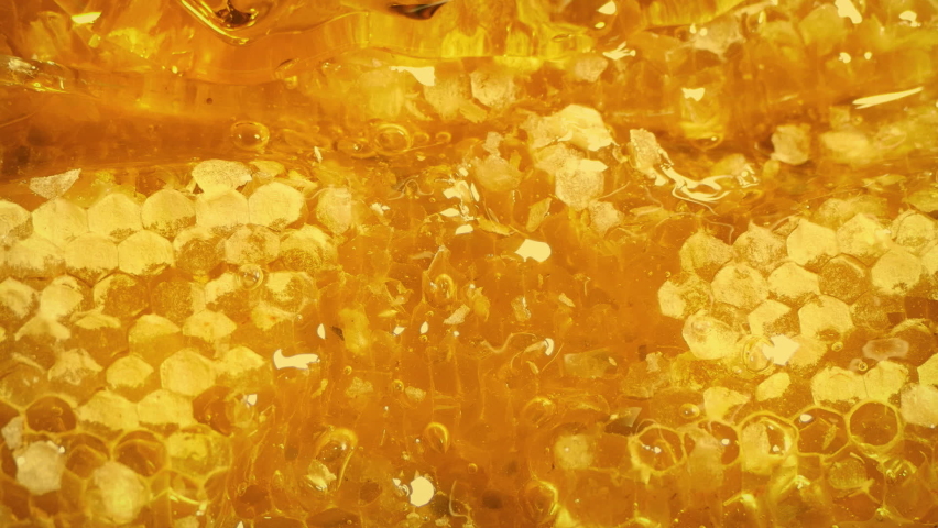 Golden Honey Drips Down Honeycomb Royalty-Free Stock Footage #1058497048