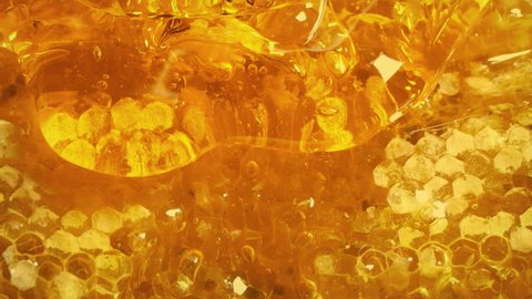 Golden Honey Drips Down Honeycomb