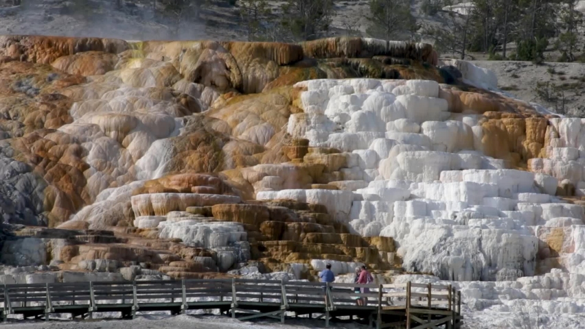 Natural Travertine Terraces At The Mammoth Hot Springs With Tourists Watching From The Wooden Boardwalk In Yellowstone National Park, Wyoming , USA. - wide shot