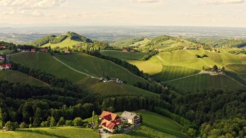 Aerial view of vineyard hills in South Styria, Tuscany like landscape. Sunset with clear sky, summer. Drone shot