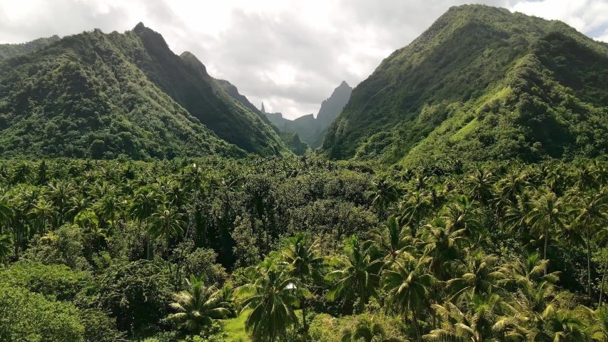 Drone shot Tahiti, 4k. Aerial view of tropical jungle mountain valley. French Polynesia island. exotic travel destination, adventure getaway destination.  Royalty-Free Stock Footage #1058532268