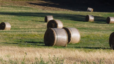 Bales of hay on a beveled field on the Appennines mountains near Arezzo. Tuscany. Italy.