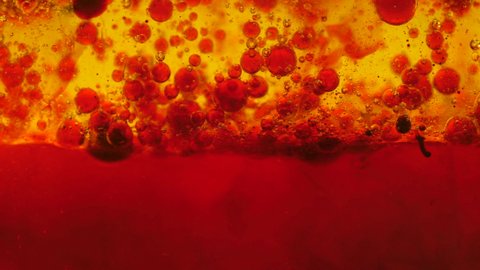 Red drops splashing in oil and water