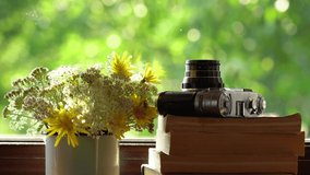 Closeup view of bouquet of meadow flowers in metal enamel mug, stack of several old paper books, retro photo camera laying on windowsill of countryside cottage. Defocused green yard in background.