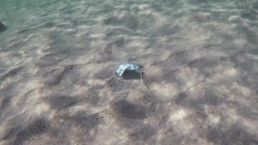 surgical face mask underwater and fishes, plastic waste contamination in ocean  since coronavirus pandemic ,  4k video footage
