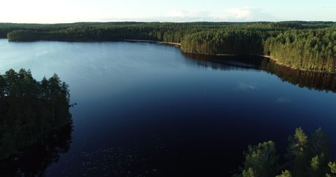 Aerial view of beautiful blue lake and green summer forest in Finland. Blue sky. Top view. Sunset landscape.