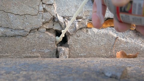 Person using spray expanding foam to seal small opening and cracks around home foundation, to prevent insects and other pests from entering.  DIY home maintenance up close. 