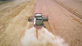 Aerial video flying over harvesting wheat combine in autumn field. Top view 4k UHD drone footage