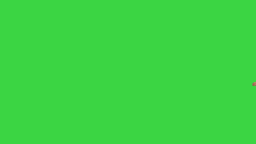 Young male doctor doing back flips, adjusts his robe looking at camera and then walks away on a Green Screen, Chroma Key. Royalty-Free Stock Footage #1058579782