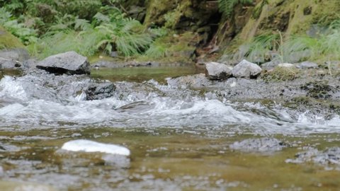 Relaxing and calming Washougal River in the Pacific Northwest. Popular outdoor recreation area for those living in Portland, Oregon and Vancouver. Natural ice melt river flowing from mountains. 