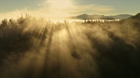 Magnificent rays of the rising sun make their way through the clouds and tree branches. Flying through the clouds above mountain tops. Warm sunrise in the mountains. Aerial shot