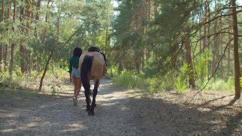 Rear view of elegant slim african american female rider in checkered shirt and shorts holding bridle, walking with brown purebred horse on dusty trail through forest after horseback riding in summer.