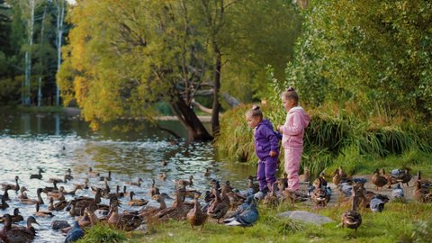 Two little girls feeding ducks by the lake in autumn park. Kids feeding birds with bread. Many ducks and doves around children, flock of pigeons take off and fly away over pond