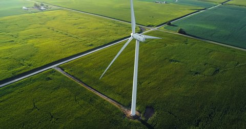 Aerial high angle view of single Wind Turbine on green corn field. Slow motion, sunset light 