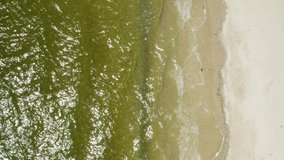 Sea waves rolling on sandy beach with birds, top view. Drone video recording